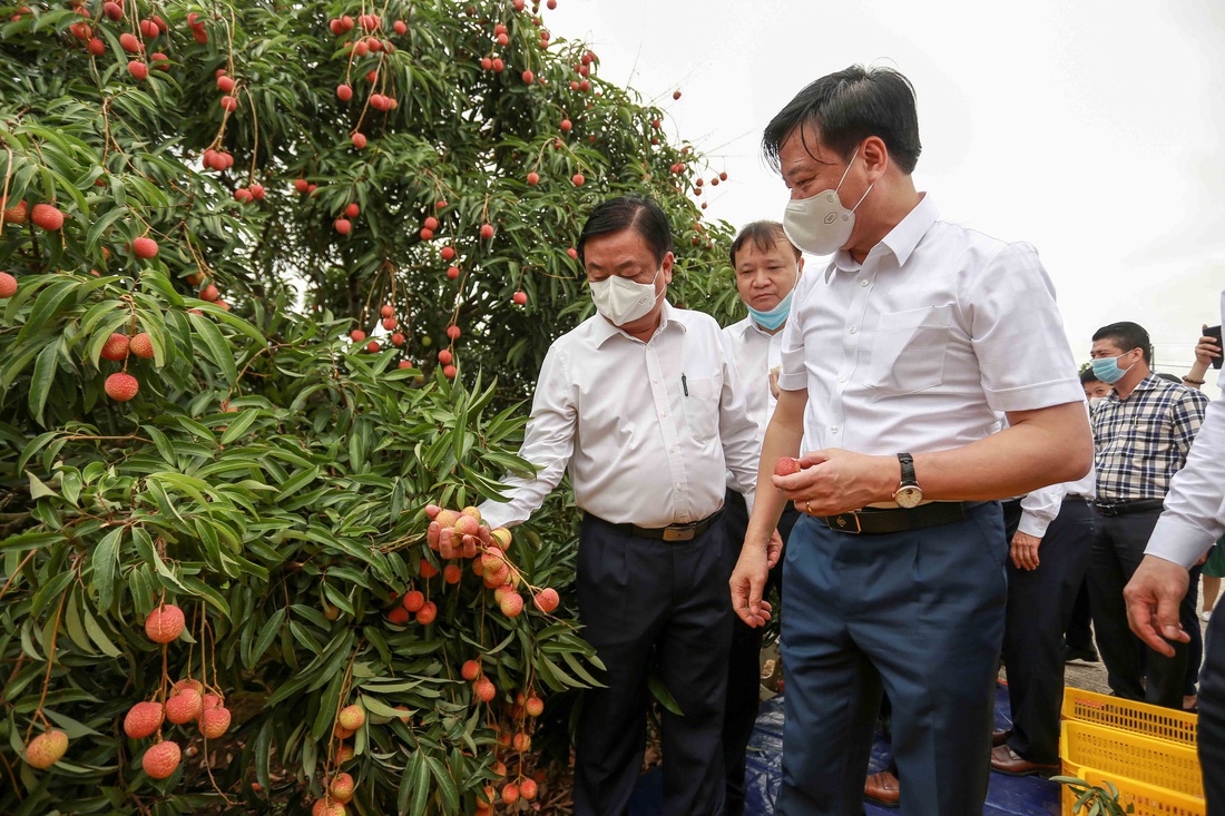 Bộ trưởng Lê Minh Hoan: Vải em là vải vườn nhà. Em là con gái Thanh Hà xứ Đông - Ảnh 5.