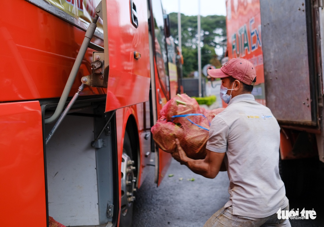 Lâm Đồng hào phóng, tặng rau nguyên vườn, chở rau bằng xe giường nằm máy lạnh đến TP.HCM - Ảnh 4.