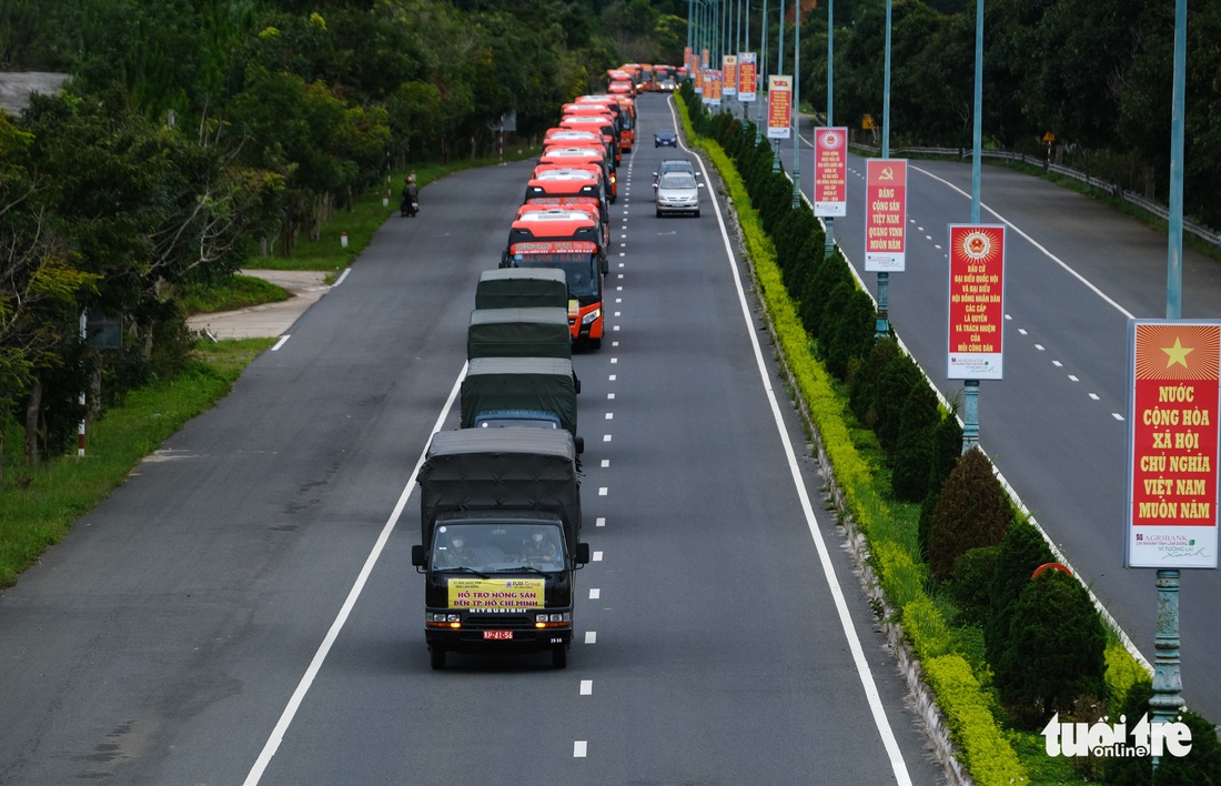 Lâm Đồng hào phóng, tặng rau nguyên vườn, chở rau bằng xe giường nằm máy lạnh đến TP.HCM - Ảnh 3.