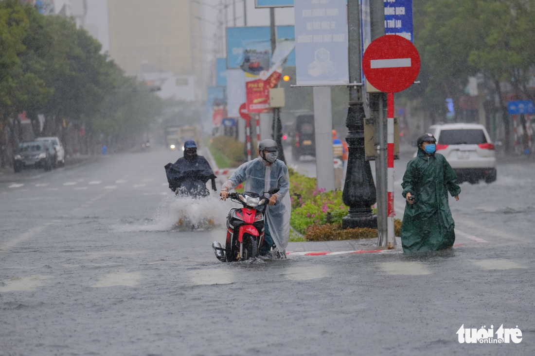 Mưa ngập nội thành, người dân Đà Nẵng ra đường bắt cá  - Ảnh 3.