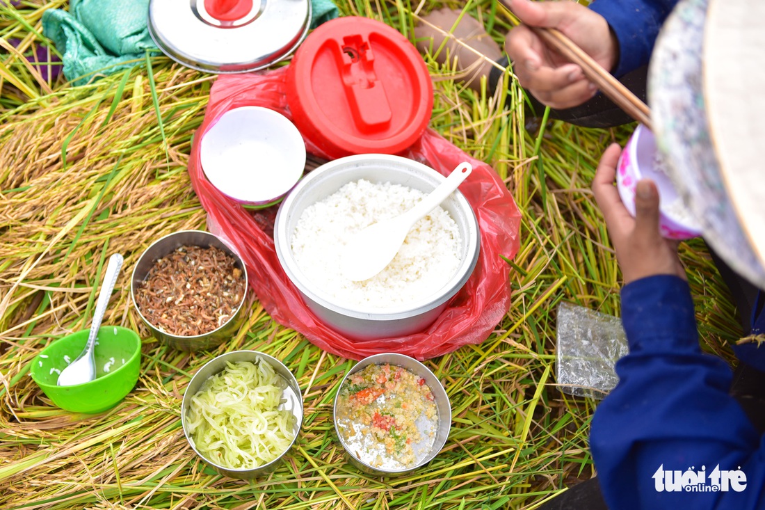 Gặt lúa, bắt cá mưu sinh giữa TP.HCM trong mùa dịch - Ảnh 9. Gặt lúa, bắt cá mưu sinh giữa TP.HCM trong mùa dịch - Ảnh 9.