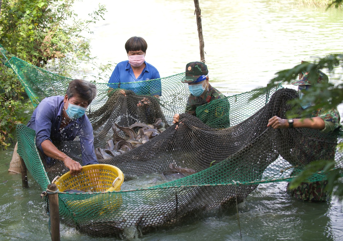 Bộ đội về thôn quê giúp nông dân vác lúa, bắt cá, giao sách giáo khoa cho học sinh - Ảnh 7.