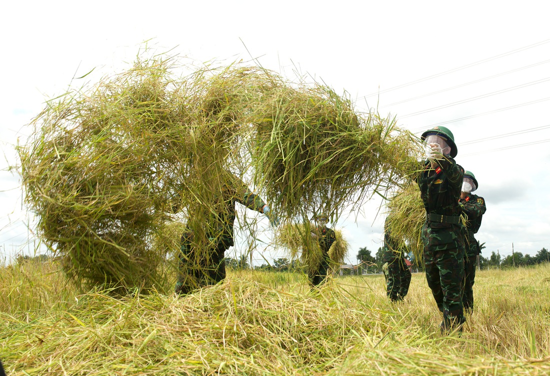 Bộ đội về thôn quê giúp nông dân vác lúa, bắt cá, giao sách giáo khoa cho học sinh - Ảnh 3.