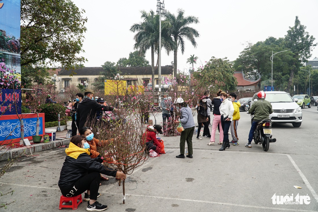 Đào hoa đã ngập phố Hà Nội, 10 người bán 1 người mua - Ảnh 5.