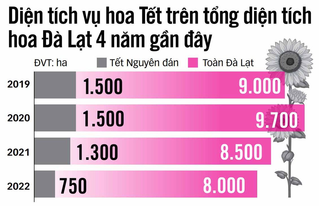 Nóng mùa hoa Tết - Ảnh 3.