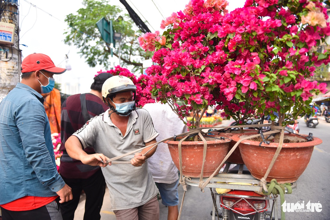 Sắc xuân đã về trên bến Bình Đông - Ảnh 5. Sắc xuân đã về trên bến Bình Đông - Ảnh 5.