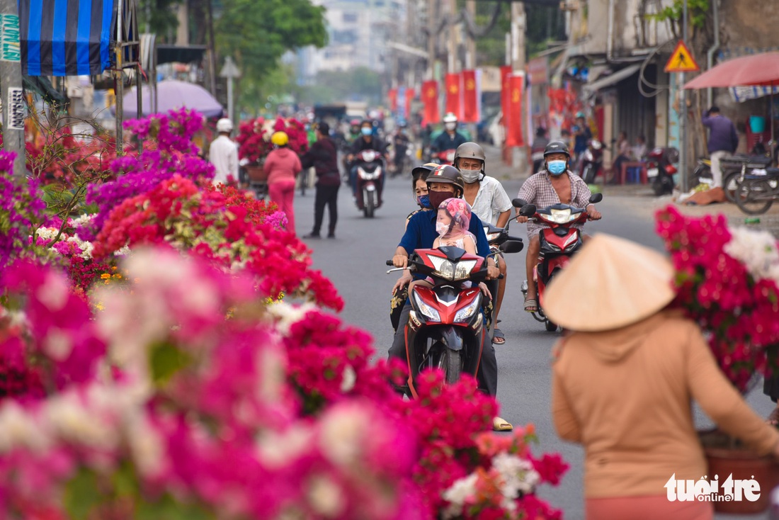 Sắc xuân đã về trên bến Bình Đông - Ảnh 1. Sắc xuân đã về trên bến Bình Đông - Ảnh 1.