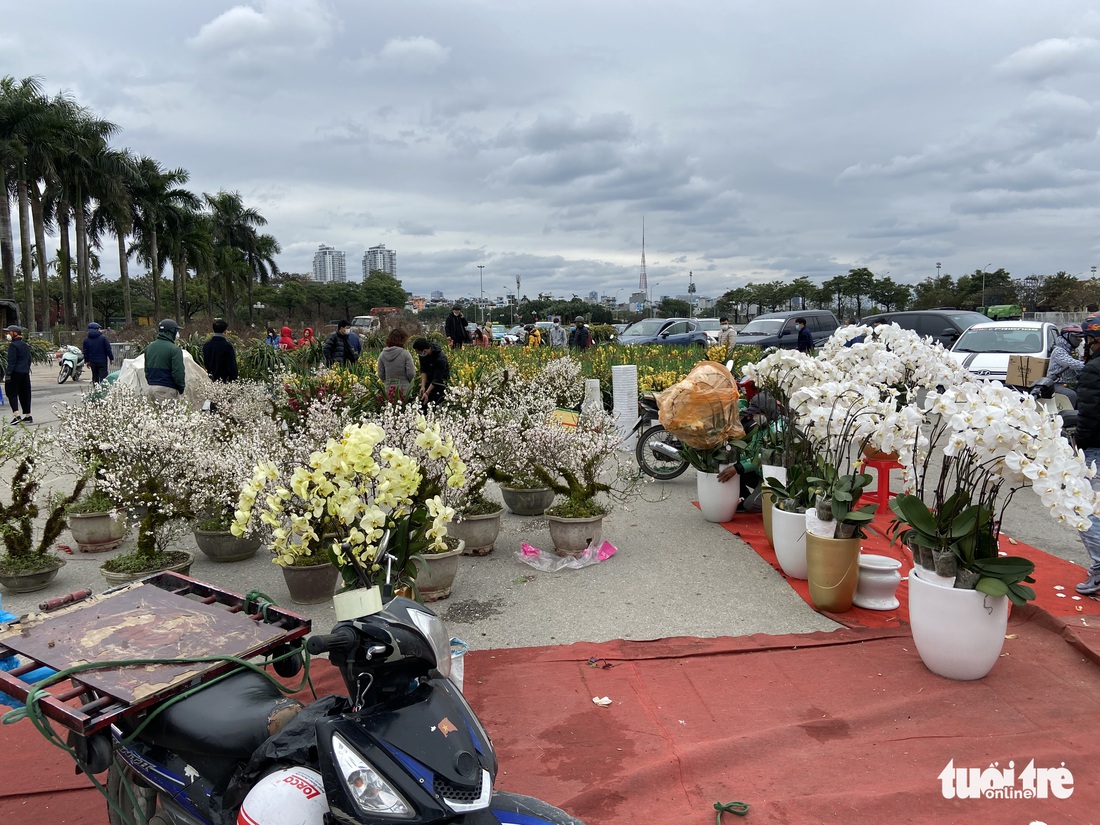 Chiều cuối cùng năm Tân Sửu: Các điểm bán đào, quất, lan... ở Hà Nội ế khách, hoa bó đắt hàng - Ảnh 3.