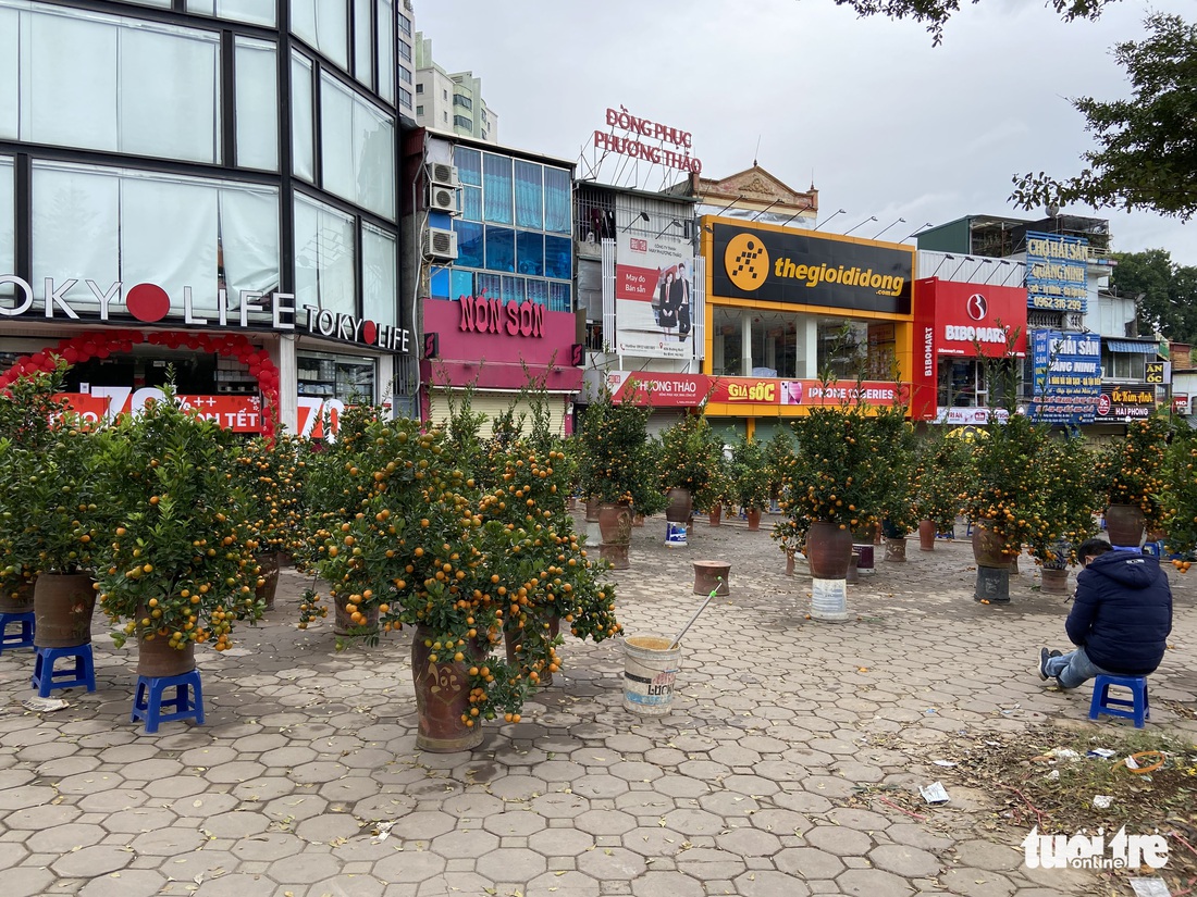 Chiều cuối cùng năm Tân Sửu: Các điểm bán đào, quất, lan... ở Hà Nội ế khách, hoa bó đắt hàng - Ảnh 5.