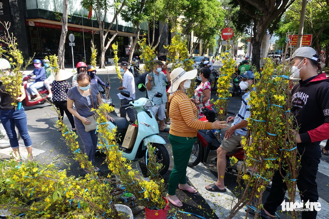 Hoa cắt cành bán chạy, hoa chưng Tết giảm giá sập sàn - Ảnh 2.