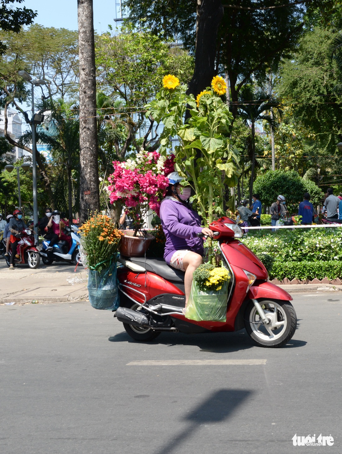 Hoa cắt cành bán chạy, hoa chưng Tết giảm giá sập sàn - Ảnh 11.