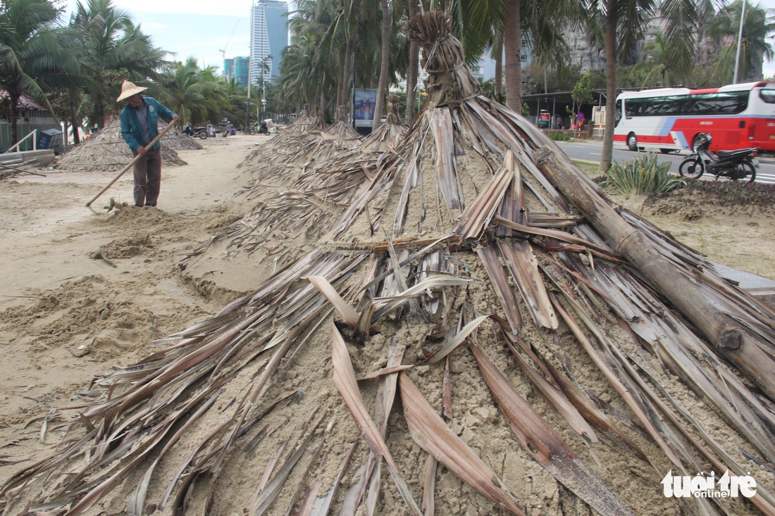 Dân Đà Nẵng kéo ra biển dọn cát lấp, bèo dạt sau bão - Ảnh 8.