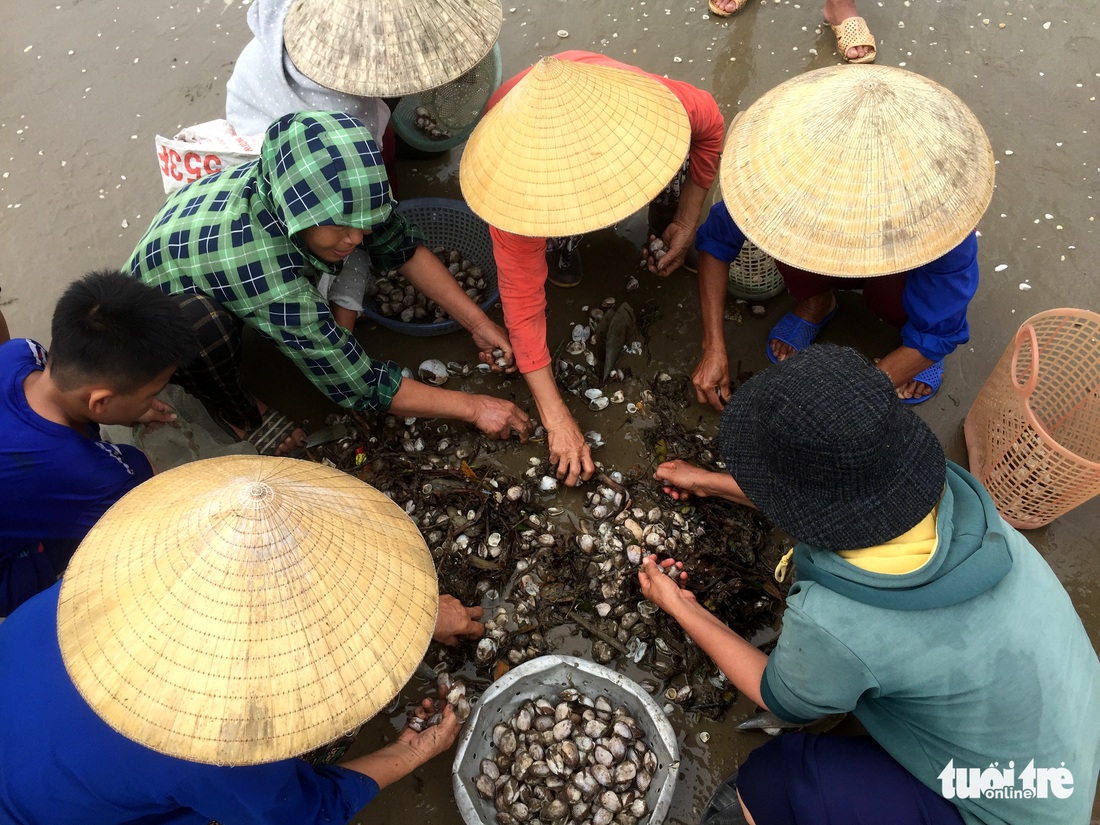 Hàng ngàn người hò nhau đi vớt ‘lộc biển’ sau mưa bão - Ảnh 5.