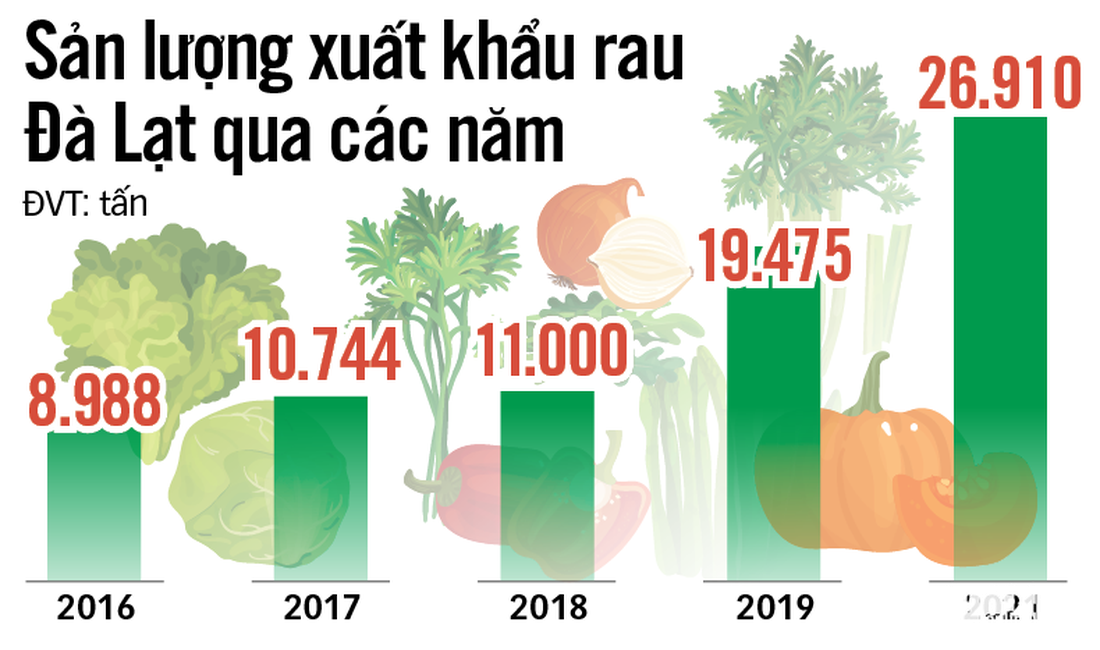 Xuất khẩu rau củ, sao vẫn khó? - Ảnh 2.