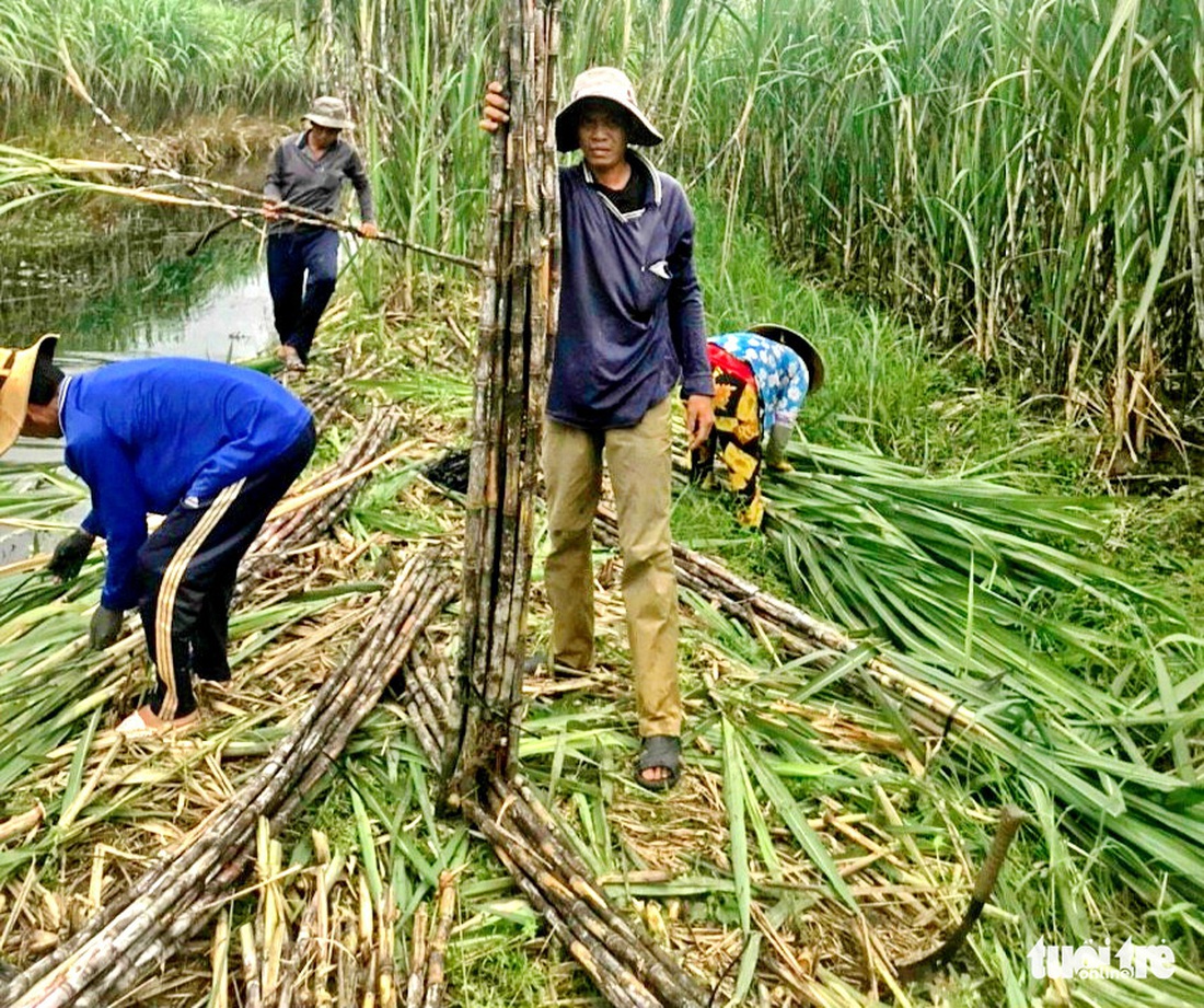 Tin sáng 25-10: Bắt đầu bán vé tàu Tết; Điều chỉnh giao thông nhiều đường ở Thủ Đức - Ảnh 3.