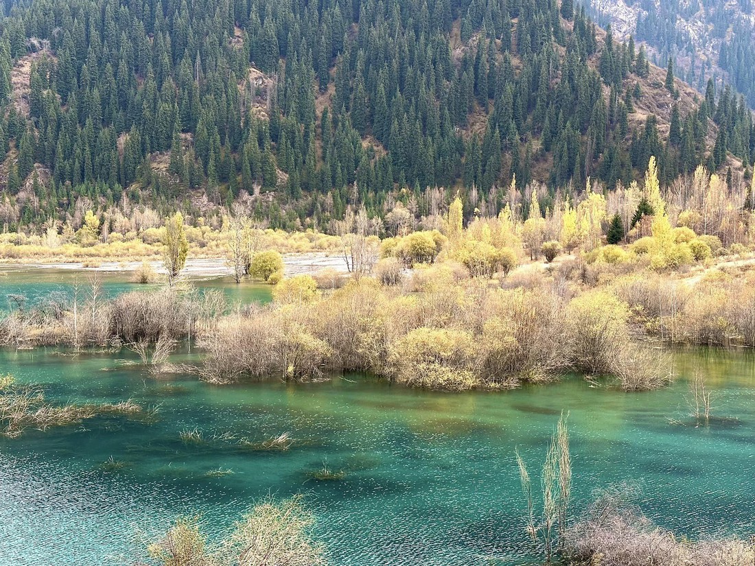 Theo chân du khách Việt ngắm thu vàng trên con đường tơ lụa từ Kazakhstan đến Kyrgyzstan - Ảnh 8.