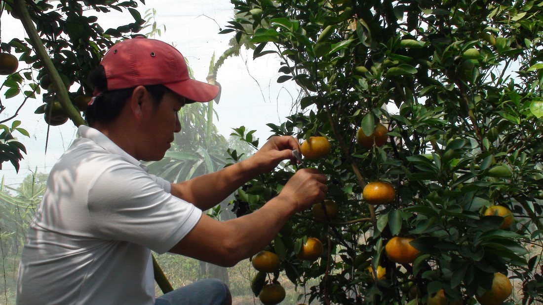 Tin tức sáng 27-12: Tổng kiểm tra hoạt động đăng kiểm toàn quốc; Báo động trẻ hút thuốc lá điện tử - Ảnh 4.