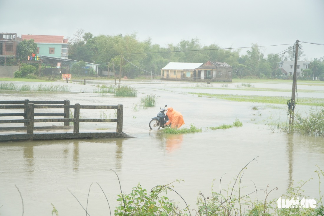 Mưa lớn, đồng ruộng ngập nước lênh láng, lúa ngã đổ - Ảnh 4.