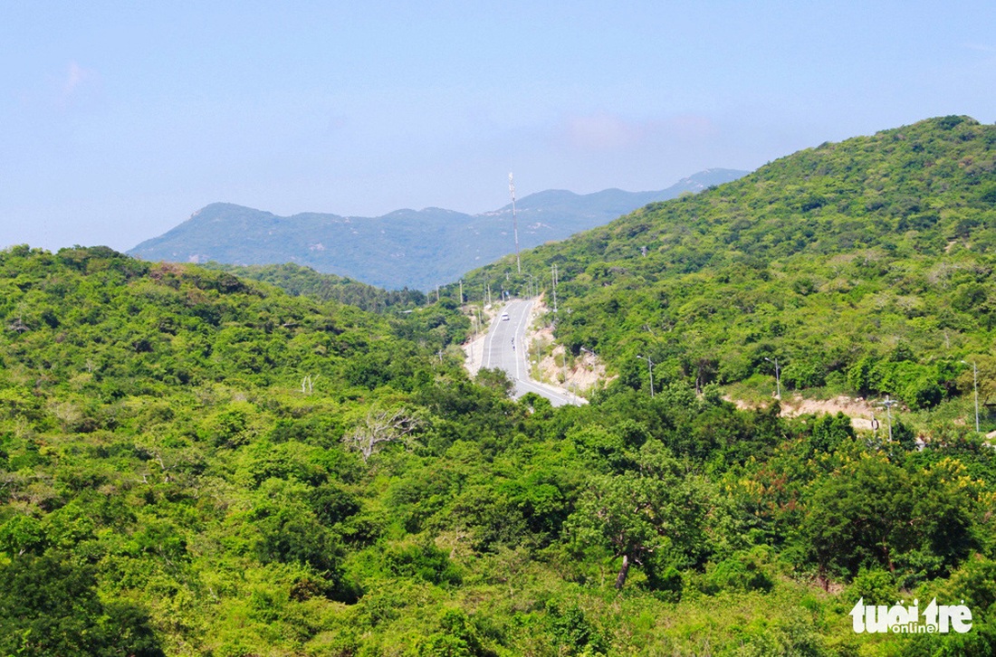 Mê mẩn khung cảnh biển, núi và rừng trên cung đường ven biển Ninh Thuận - Khánh Hòa - Ảnh 1.