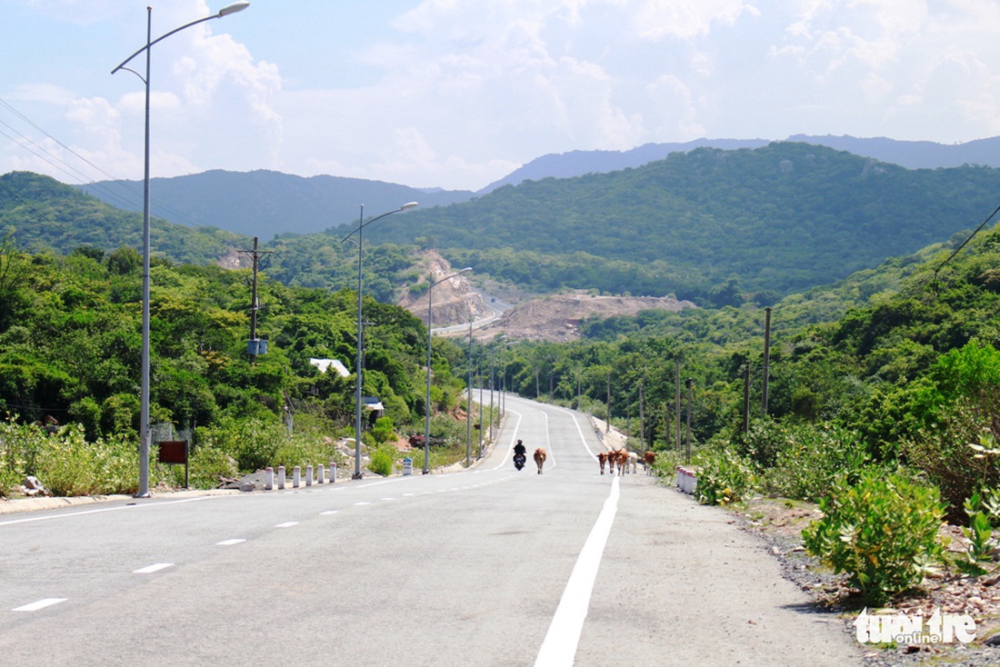 Mê mẩn khung cảnh biển, núi và rừng trên cung đường ven biển Ninh Thuận - Khánh Hòa - Ảnh 10.