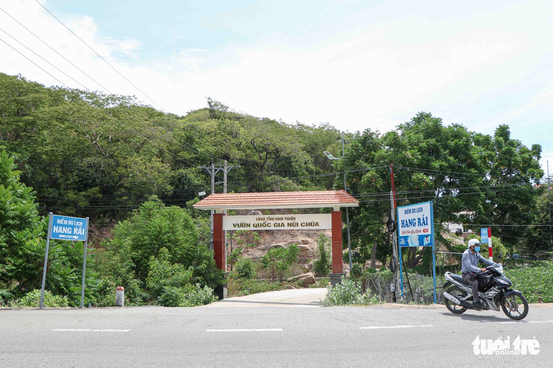 Mê mẩn khung cảnh biển, núi và rừng trên cung đường ven biển Ninh Thuận - Khánh Hòa - Ảnh 6.