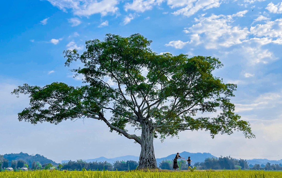 Khám phá mảnh đất Tây Nguyên hoang sơ - Ảnh 1.