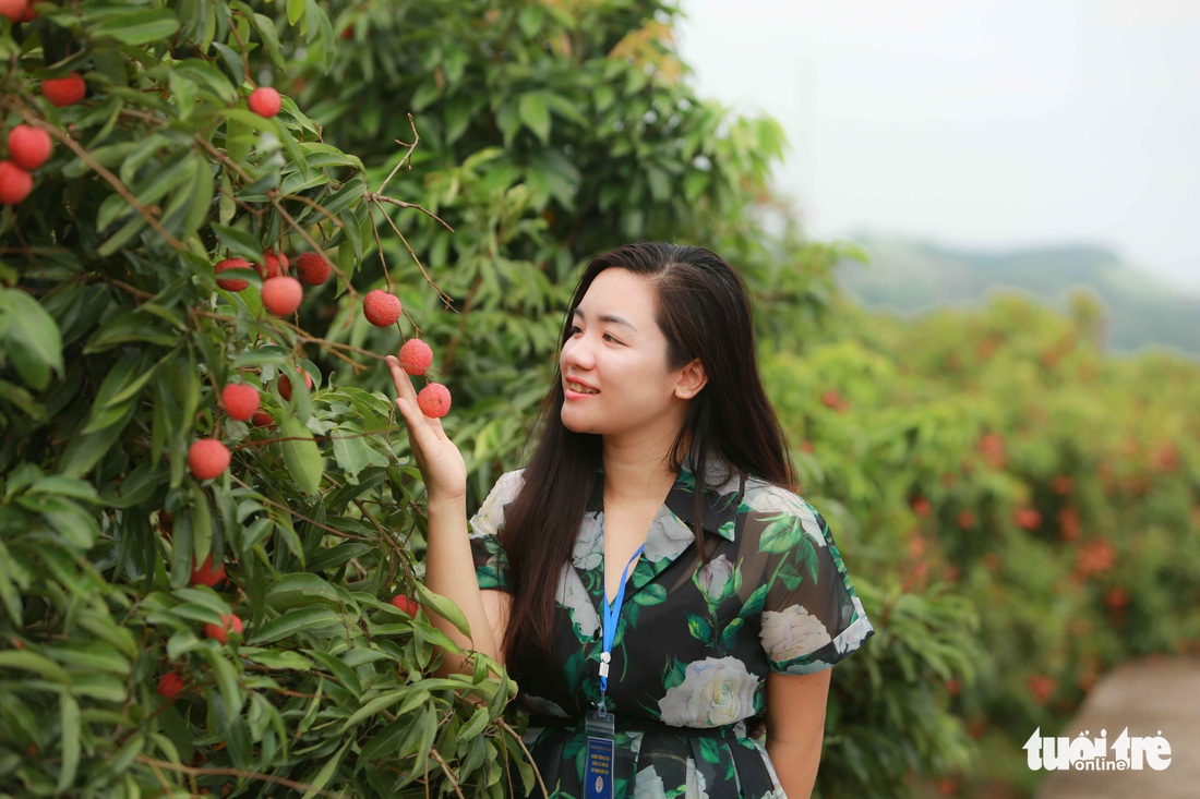 Hè về Bắc Giang: Ăn vải Lục Ngạn, cắm trại Đồng Cao, ngao du Tây Yên Tử - Ảnh 1.