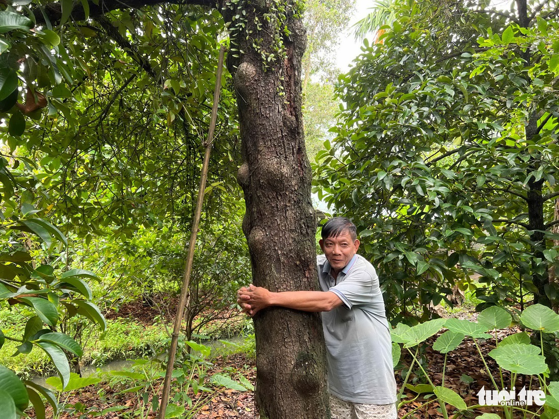 Về Lái Thiêu mà nhớ nhà vườn - Ảnh 6.