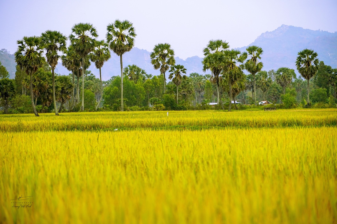 Về Tịnh Biên - An Giang leo núi Cấm, ngắm hoàng hôn trên cánh đồng thốt nốt - Ảnh 12.