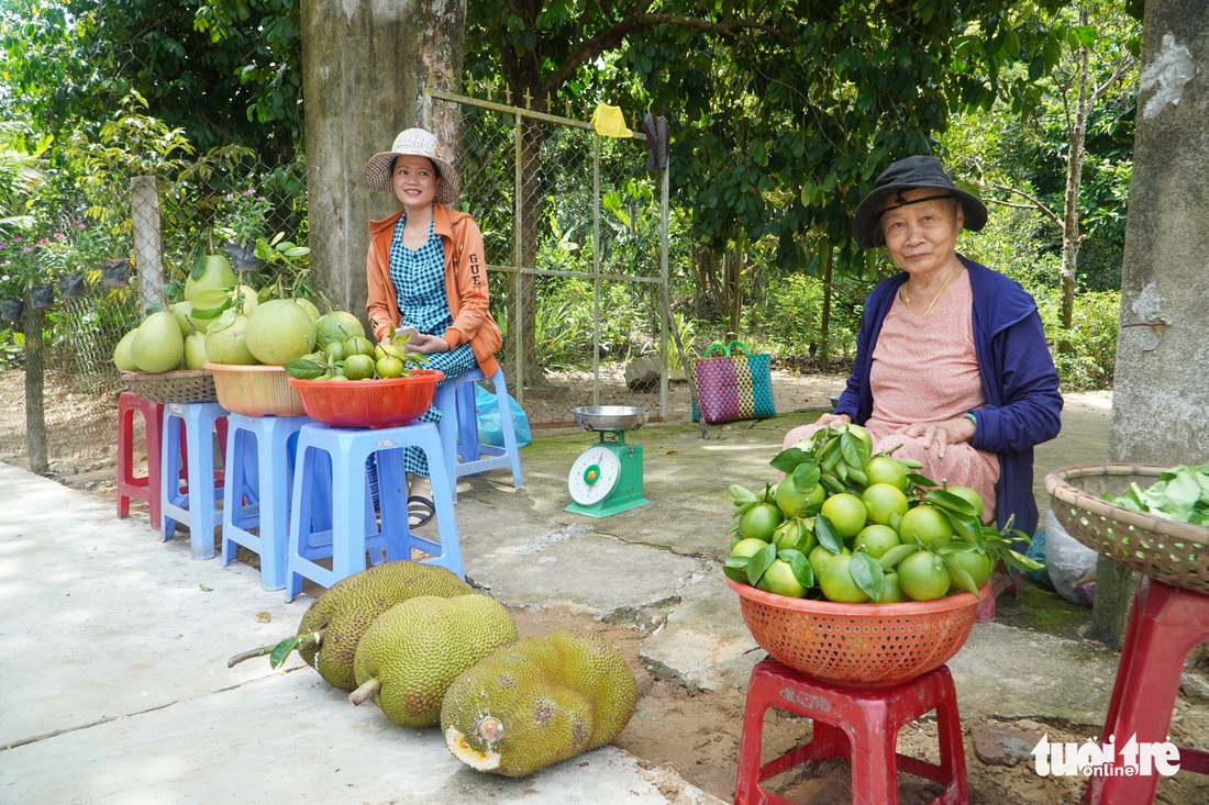 Về làng Đại Bình chơi lễ hội, thưởng thức trái cây miệt vườn bên sông Thu Bồn - Ảnh 4.