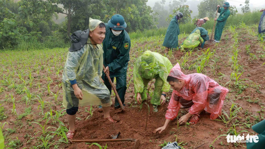 Cánh rừng Nguyễn Huy Thiệp ở bản Hua Tát - Ảnh 1.