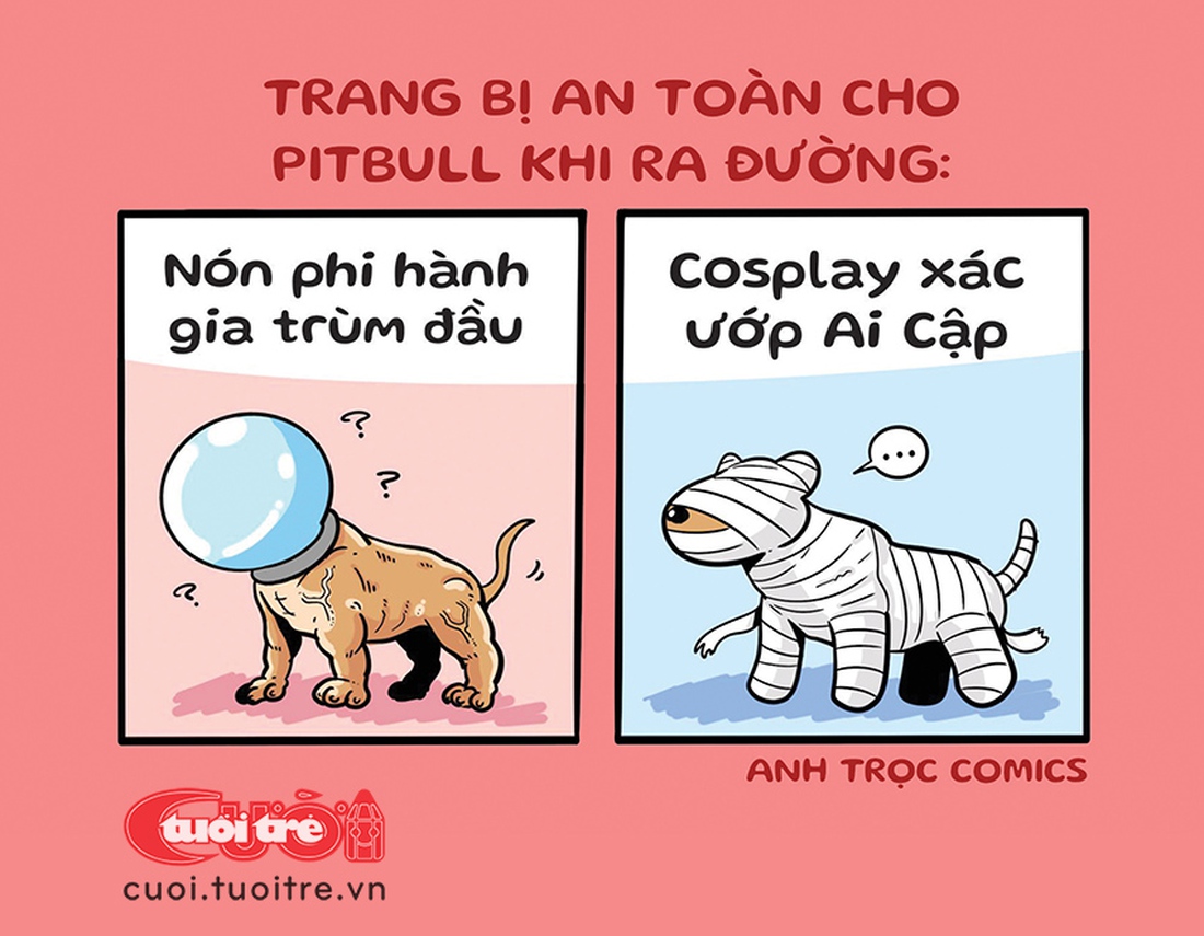 Trang bị an toàn cho pitbull - Ảnh 1.