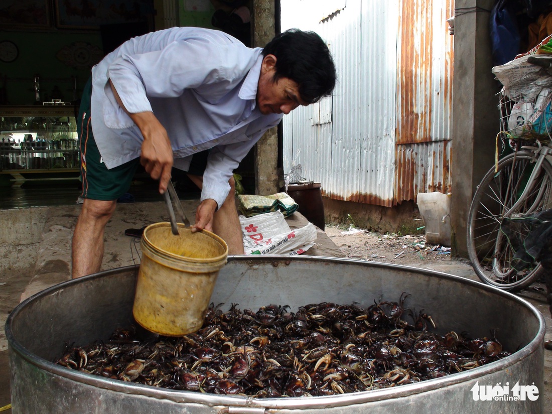 Làng lọp thu hoạch nửa tấn cua đồng mỗi ngày trong mùa nước nổi - Ảnh 3.