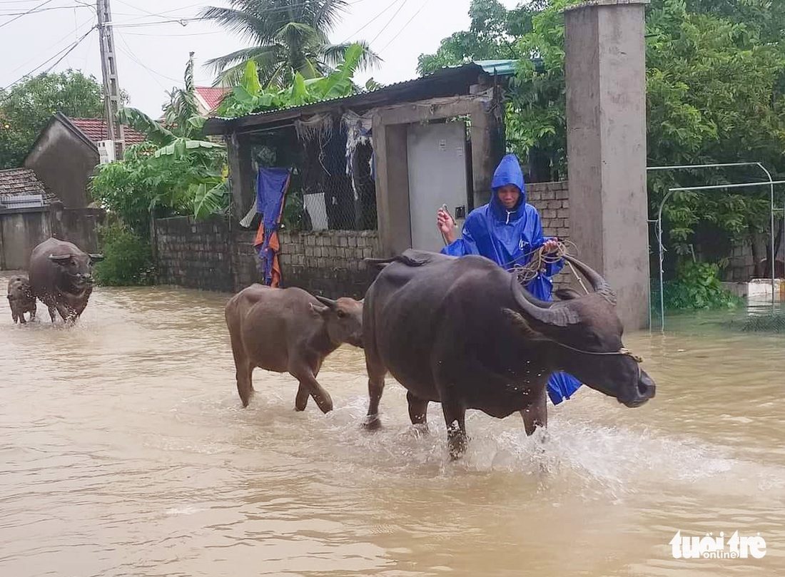 Mưa dồn dập, hàng loạt thủy điện, hồ thủy lợi xả lũ, bà con vội vã chạy lụt - Ảnh 8.