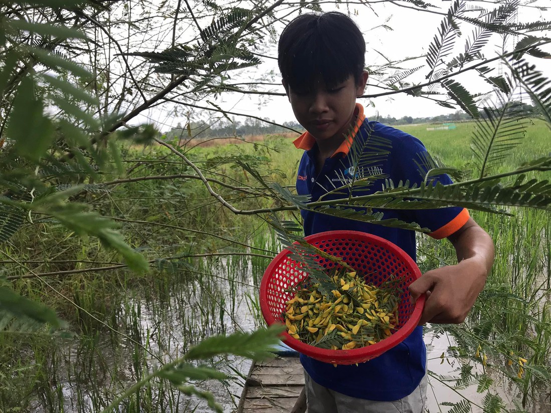 Tin sáng 5-9: Giá xăng có thể giảm, dầu tăng; TP.HCM họp bàn dự án ngăn triều 10.000 tỉ - Ảnh 4.