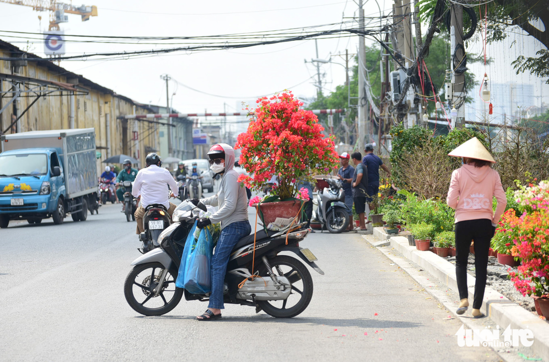 Ghe chở hoa miền Tây cập Bến Bình Đông phục vụ bà con TP.HCM chơi Tết - Ảnh 8.