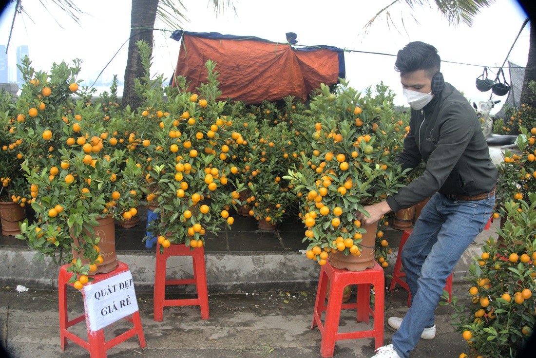 Hoa đào, lan, quất... siêu khuyến mãi chờ người mua - Ảnh 1.