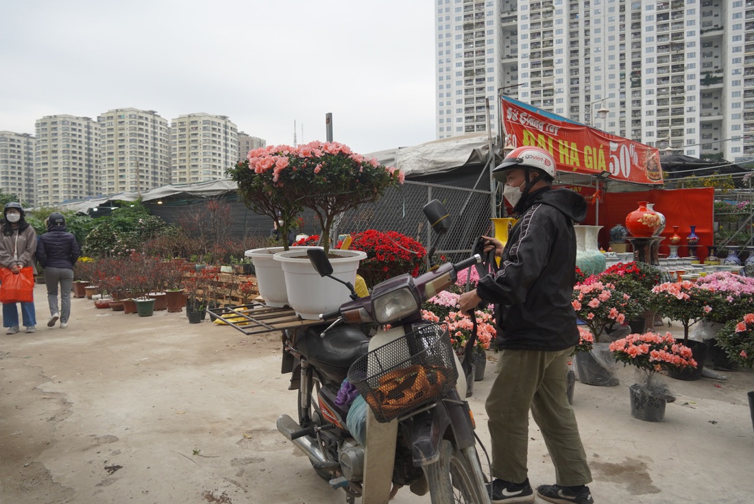 Hoa đào, lan, quất... siêu khuyến mãi chờ người mua - Ảnh 6.