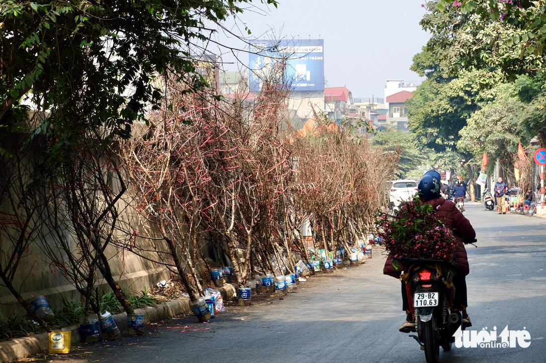 Xả hàng hoa 30 Tết: Không mặc cả, mệt lắm rồi - Ảnh 5.