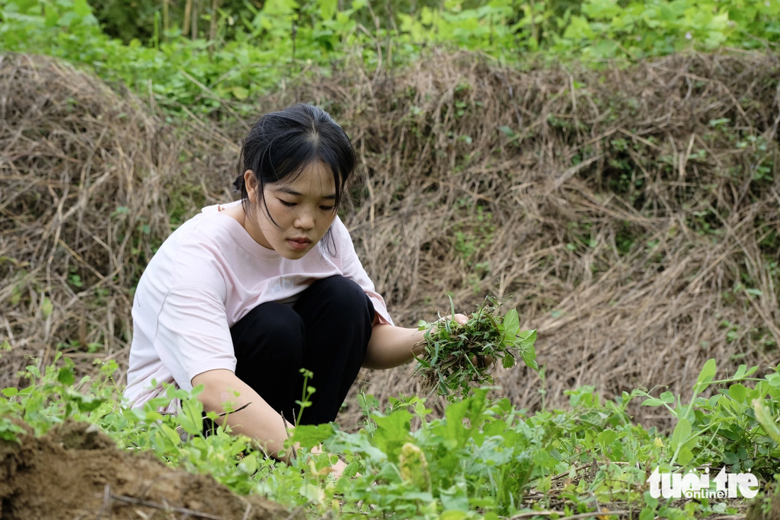 Nhà nghèo quá, làm nương rẫy chẳng thể đủ ăn, Phe phải đi làm từ nhỏ - Ảnh: NGUYÊN BẢO