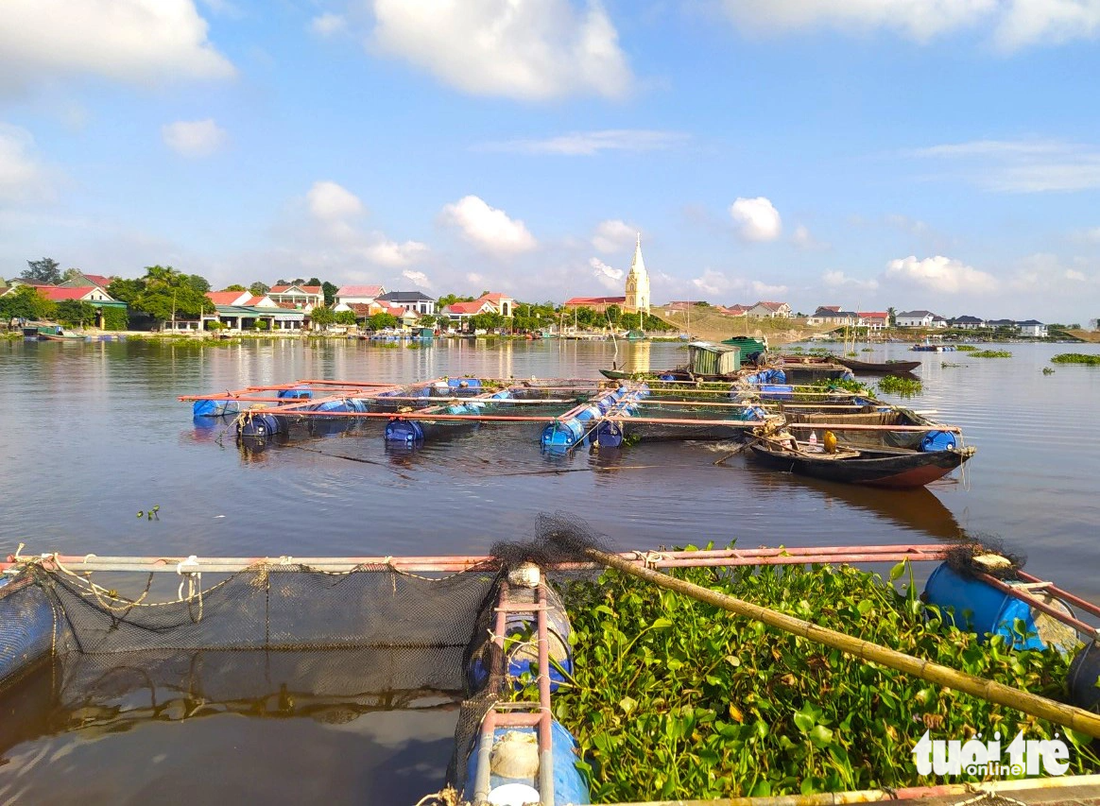 Khu vực nuôi cá trên sông của người dân thôn Sông Hải - Ảnh: LÊ MINH