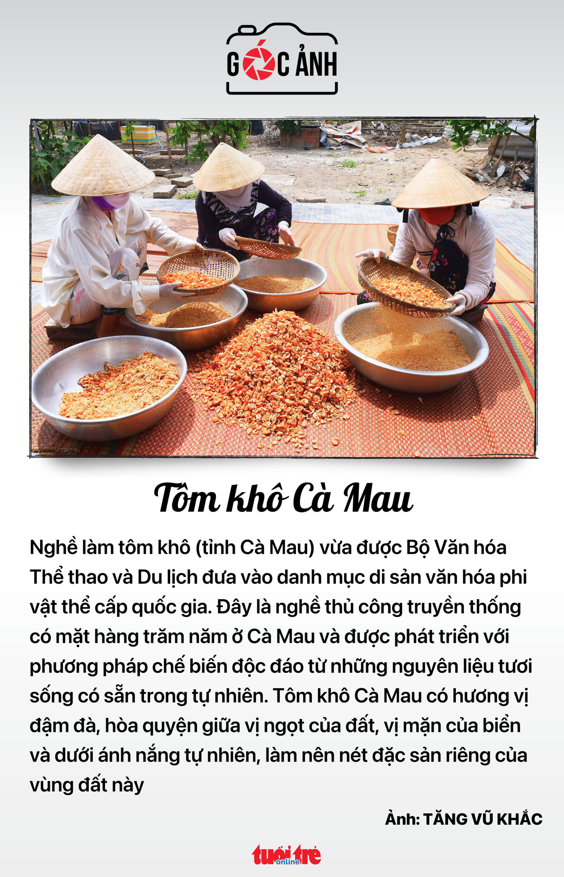 Tin tức sáng 15-11: - Ảnh 6.