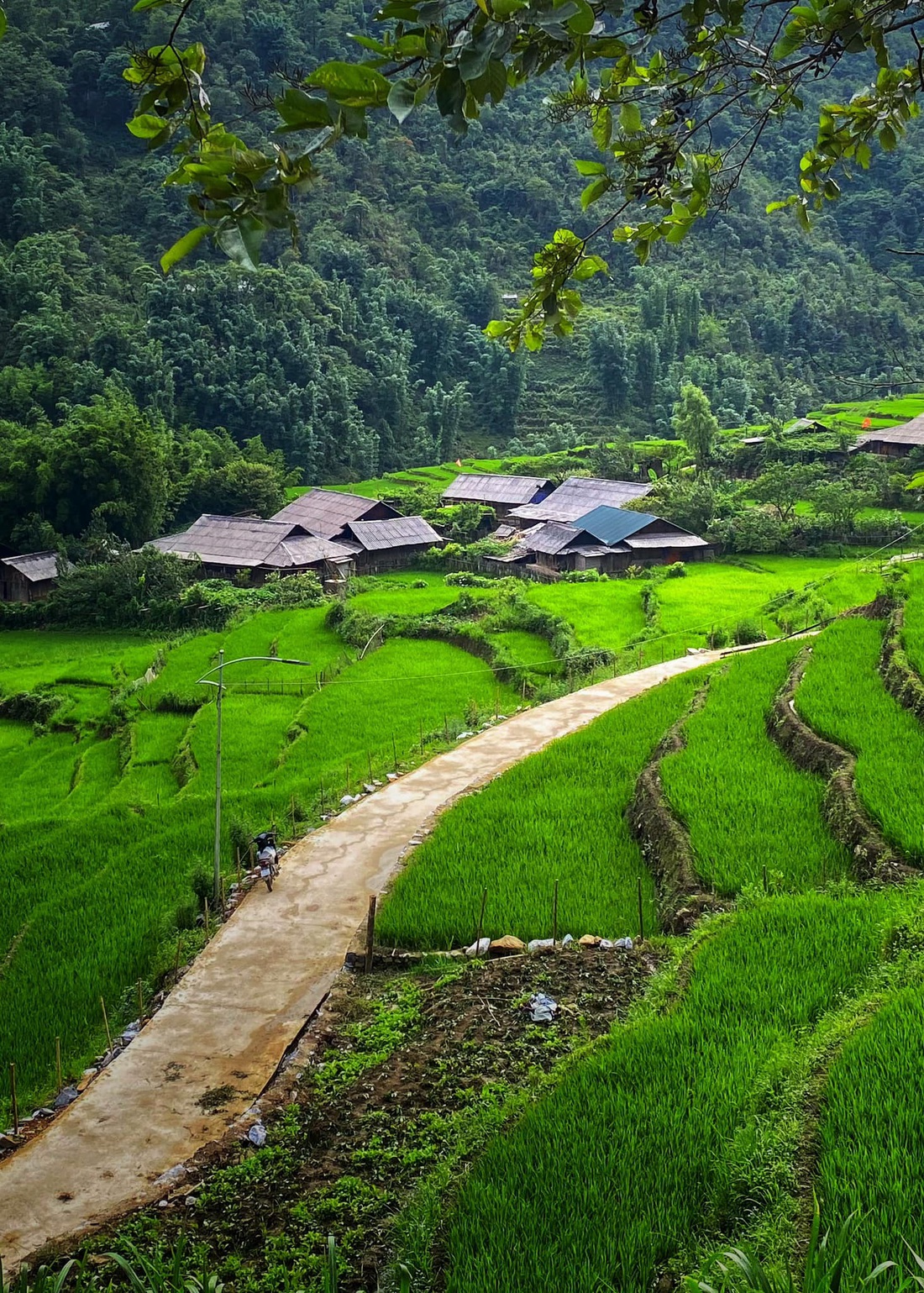 Đường vào bản Sín Chải
