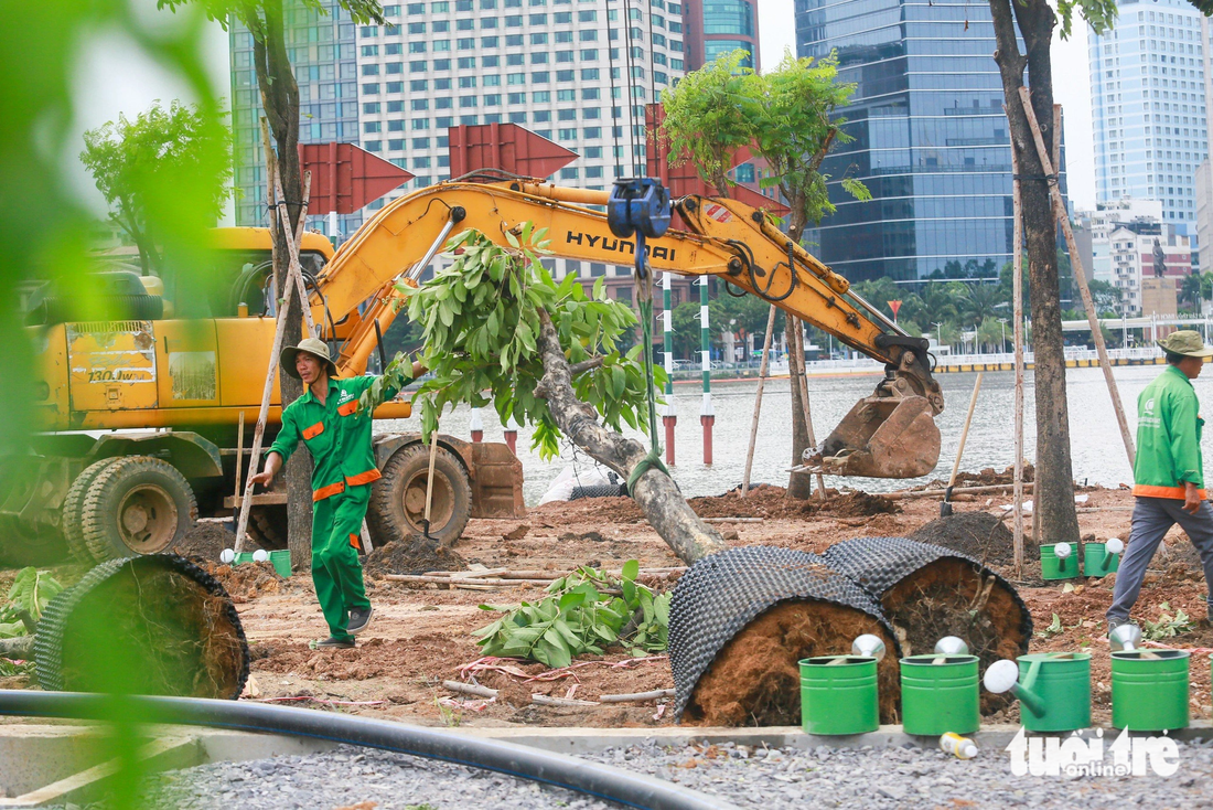 Lau sậy, cây dại đã nhường chỗ cho công viên cây xanh dọc bờ sông - Ảnh: LÊ PHAN