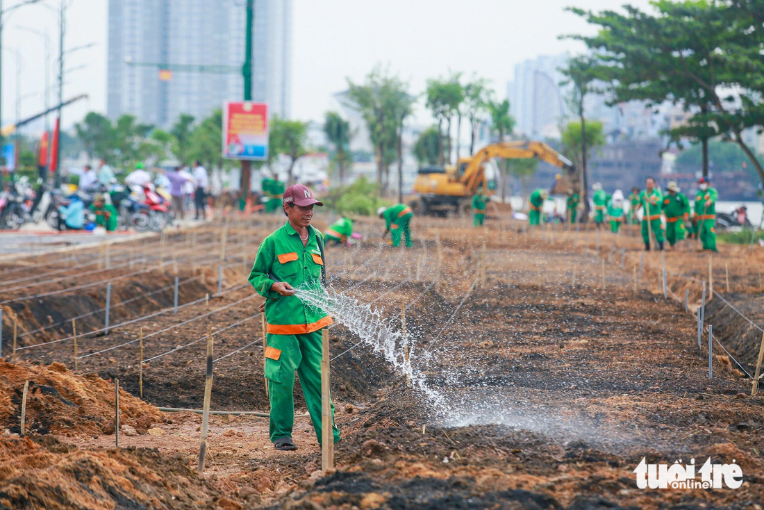 Nhiều khoảng đất được cải tạo để trồng hoa, bờ sông Sài Gòn phía Thủ Thiêm hứa hẹn rực rỡ vào dịp năm mới sắp tới - Ảnh: LÊ PHAN