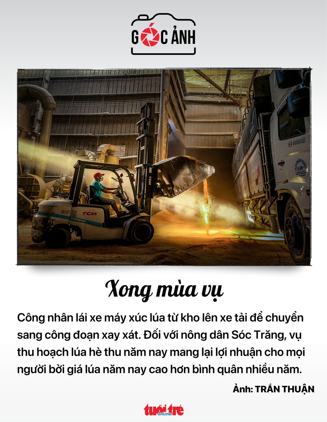 Xong mùa vụ - Ảnh: TRẦN THUẬN