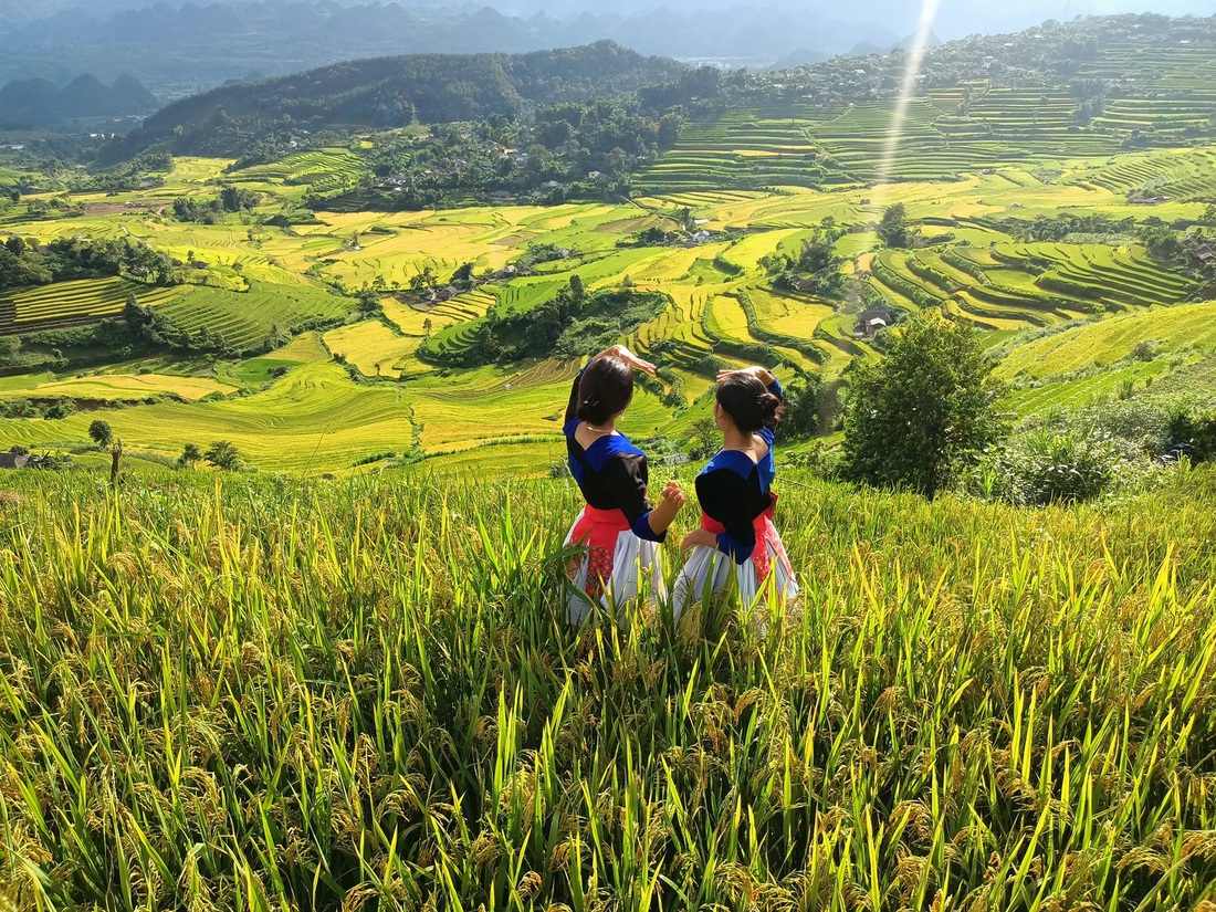 Ruộng bậc thang Tả Lèng, huyện Tam Đường, tỉnh Lai Châu, mùa lúa chín - Ảnh: SÙNG THỊ MÀO