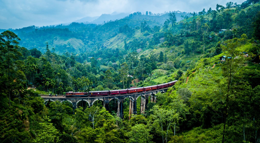 Ưu thế địa hình của Sri Lanka cực kỳ thích hợp phát triển du lịch Ưu thế địa hình của Sri Lanka cực kỳ thích hợp phát triển du lịch chăm sóc sức khỏe - Ảnh: THRIFTY NOMADS