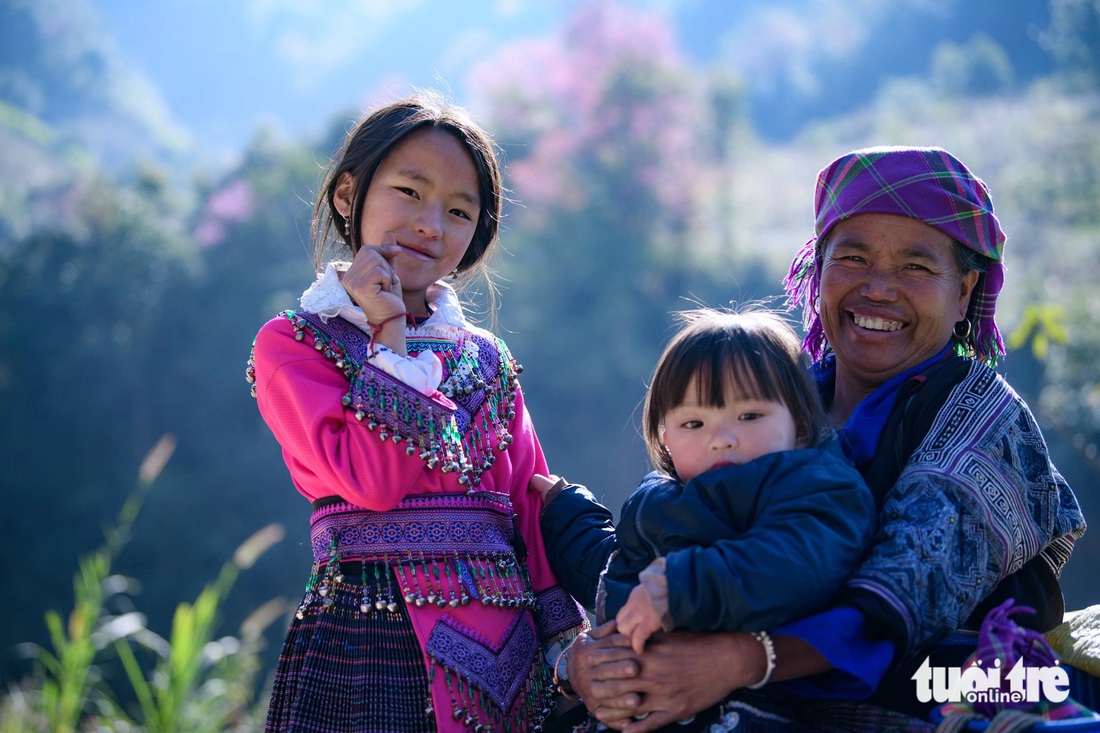 Với người Mông, hoa tớ dày là loài hoa báo xuân sớm để bà con chuẩn bị nông cụ vào vụ mới - Ảnh: NAM TRẦN