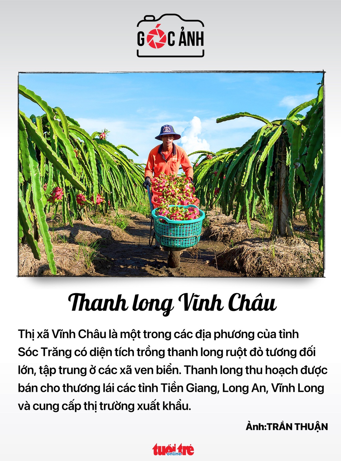 Tin tức sáng 4-12: Chủ tịch Quốc hội thăm Lào và Thái Lan; Phê duyệt quy hoạch Cần Thơ- Ảnh 5. Tin tức sáng 4-12: Chủ tịch Quốc hội thăm Lào và Thái Lan; Phê duyệt quy hoạch Cần Thơ- Ảnh 5.